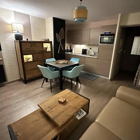 公寓 Ideal Cozy Nest With Terrasse And Parking Spot